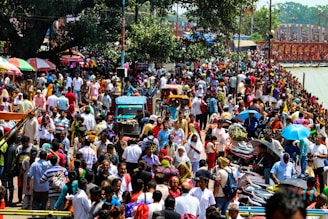 people sitting on chair during daytime