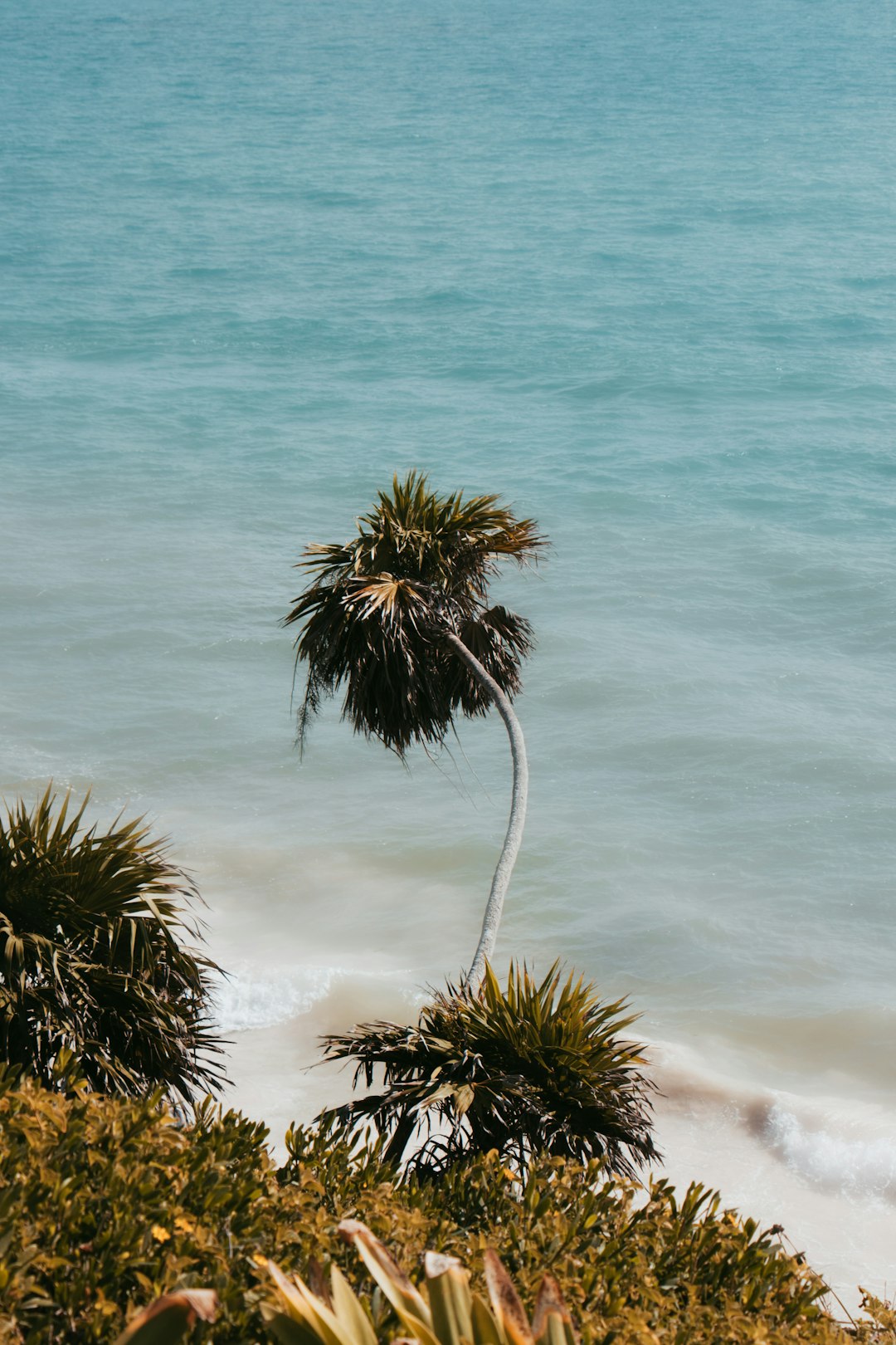 travelers stories about Tropics in Tulum Beach, Mexico