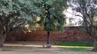 A serene outdoor scene with a wooden bench under a blooming tree in gentle sunlight.