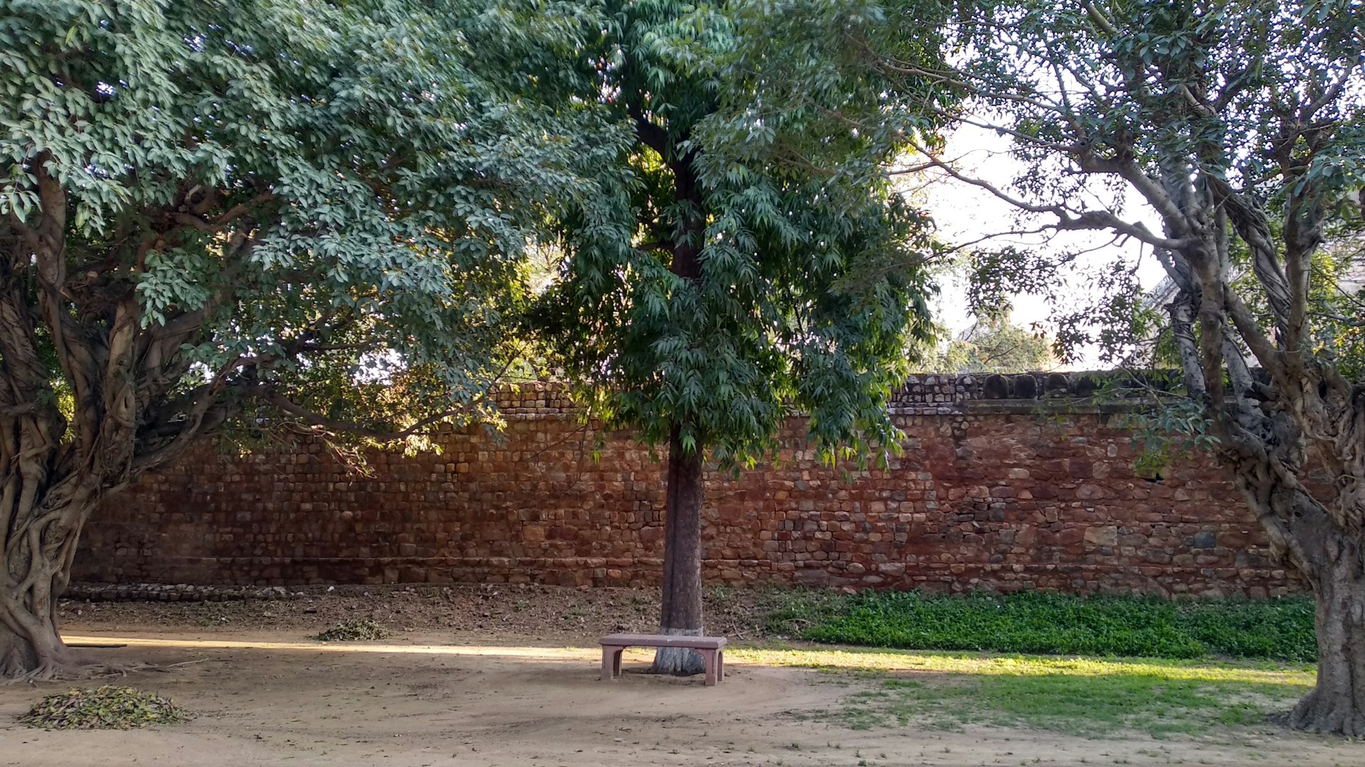 woman wearing yellow long-sleeved dress under white clouds and blue sky during daytime