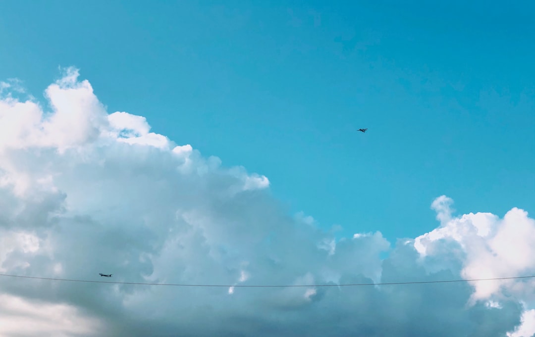 black bird flying under blue sky during daytime