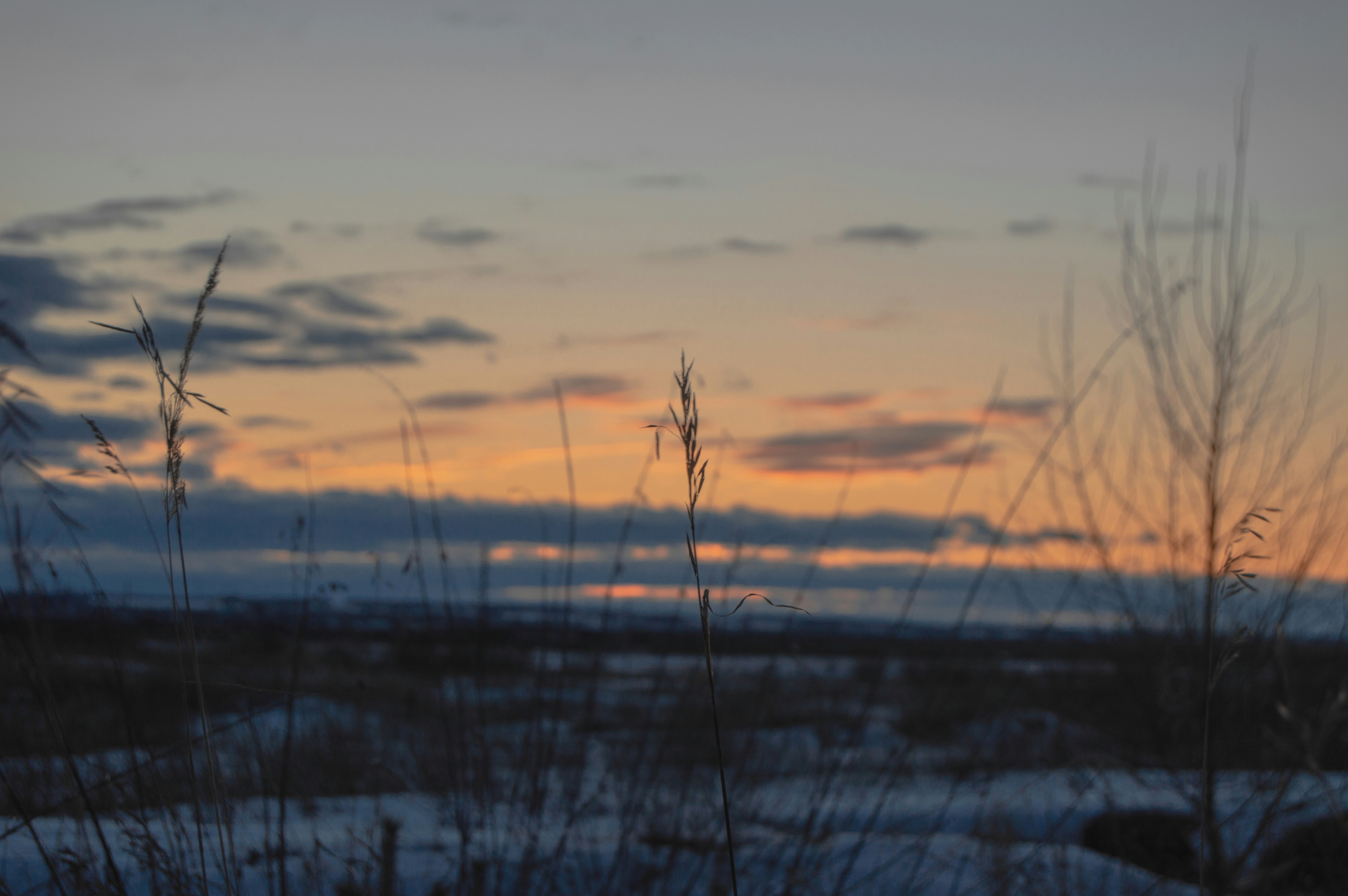 Photo by polina55