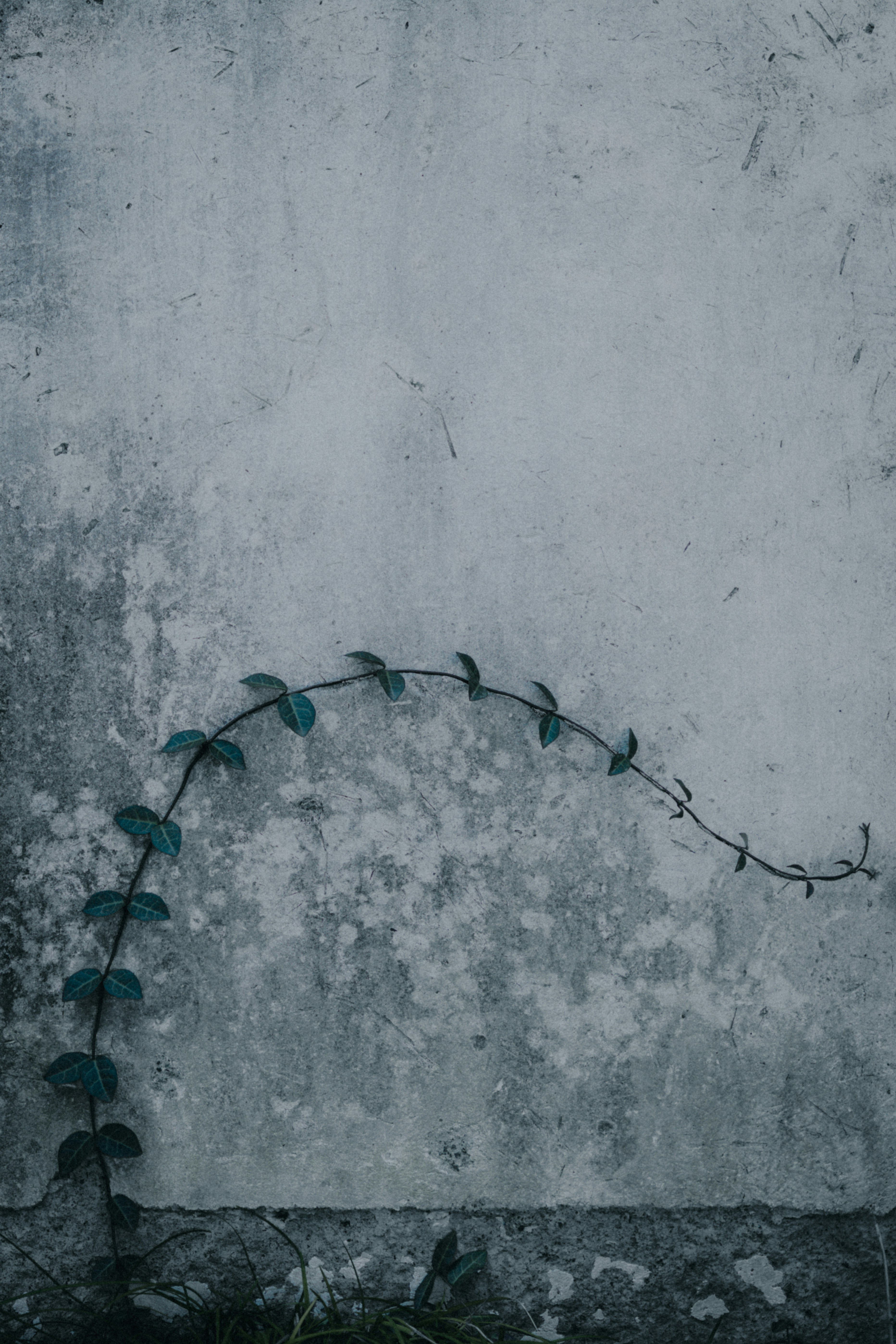 blue and white string light on white concrete wall
