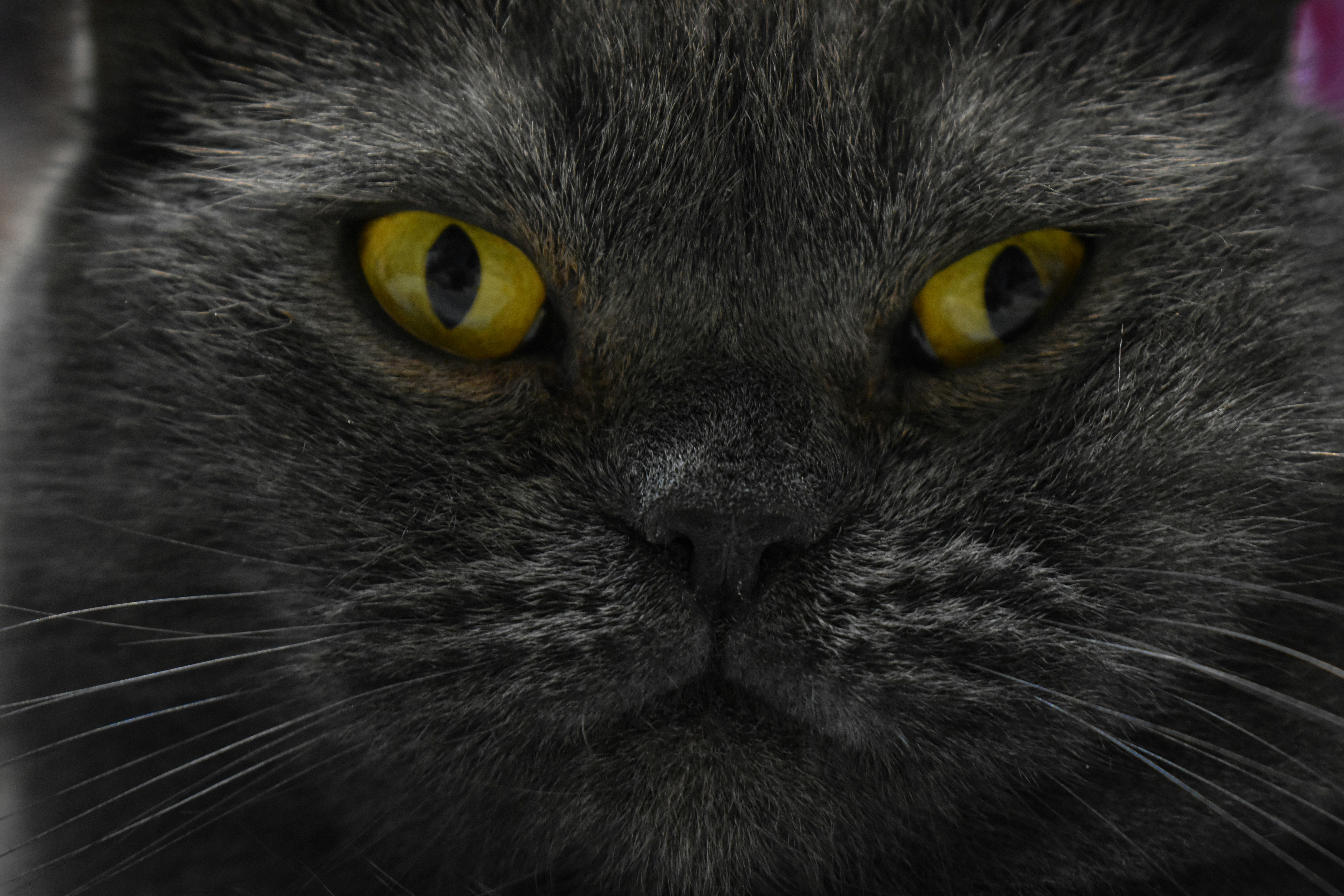 Photo by artem_makarov