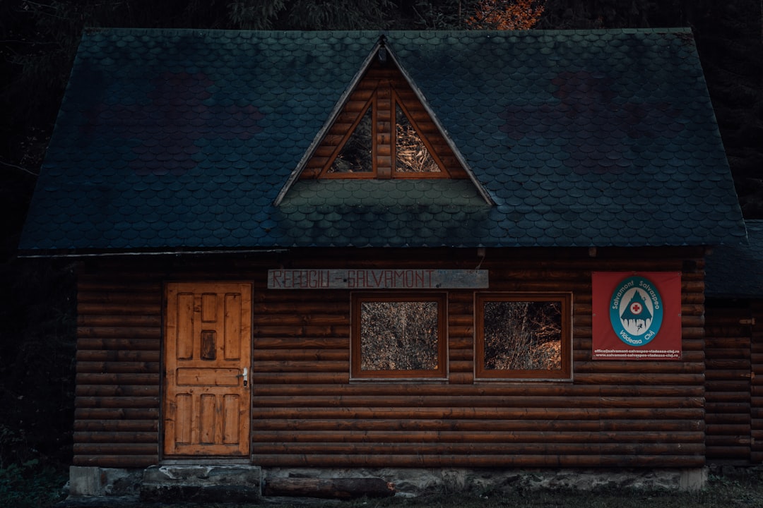 travelers stories about Log cabin in RÄƒchiÈ›ele, Romania