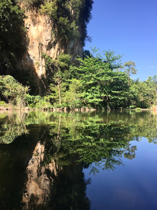 green trees beside river during daytime in Ipoh Malaysia