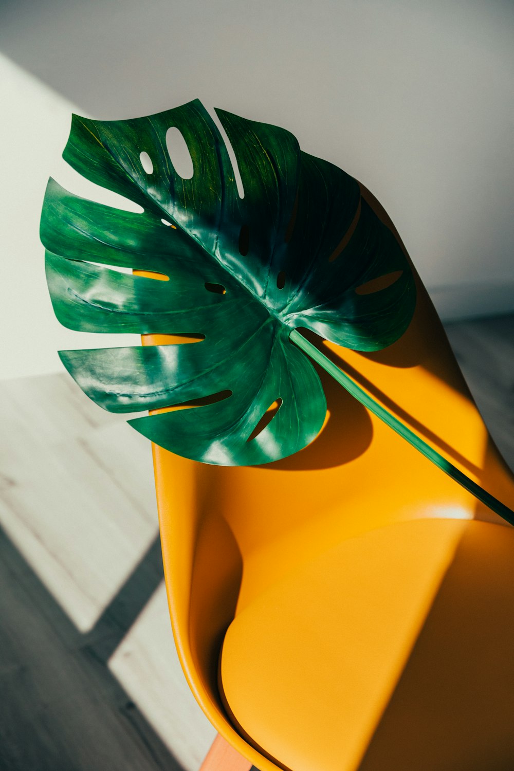 yellow and green flower in close up photography