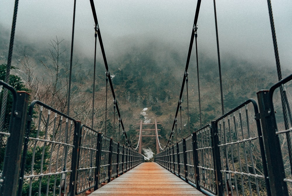 brown wooden bridge with fog
