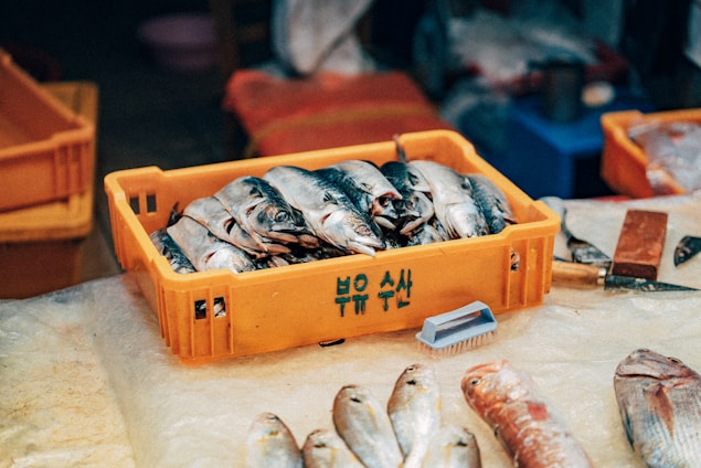 fish on orange plastic crate