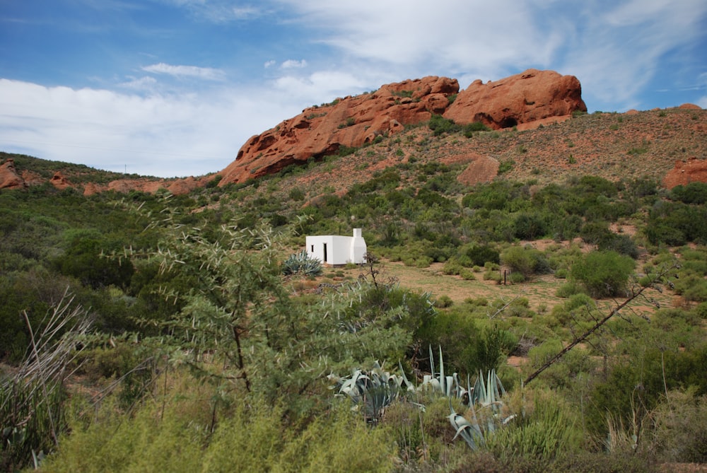 white wooden house on brown hill under blue sky during daytime