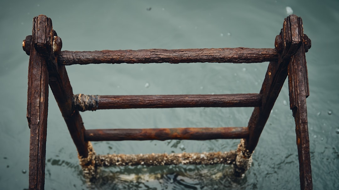 brown wooden ladder on water