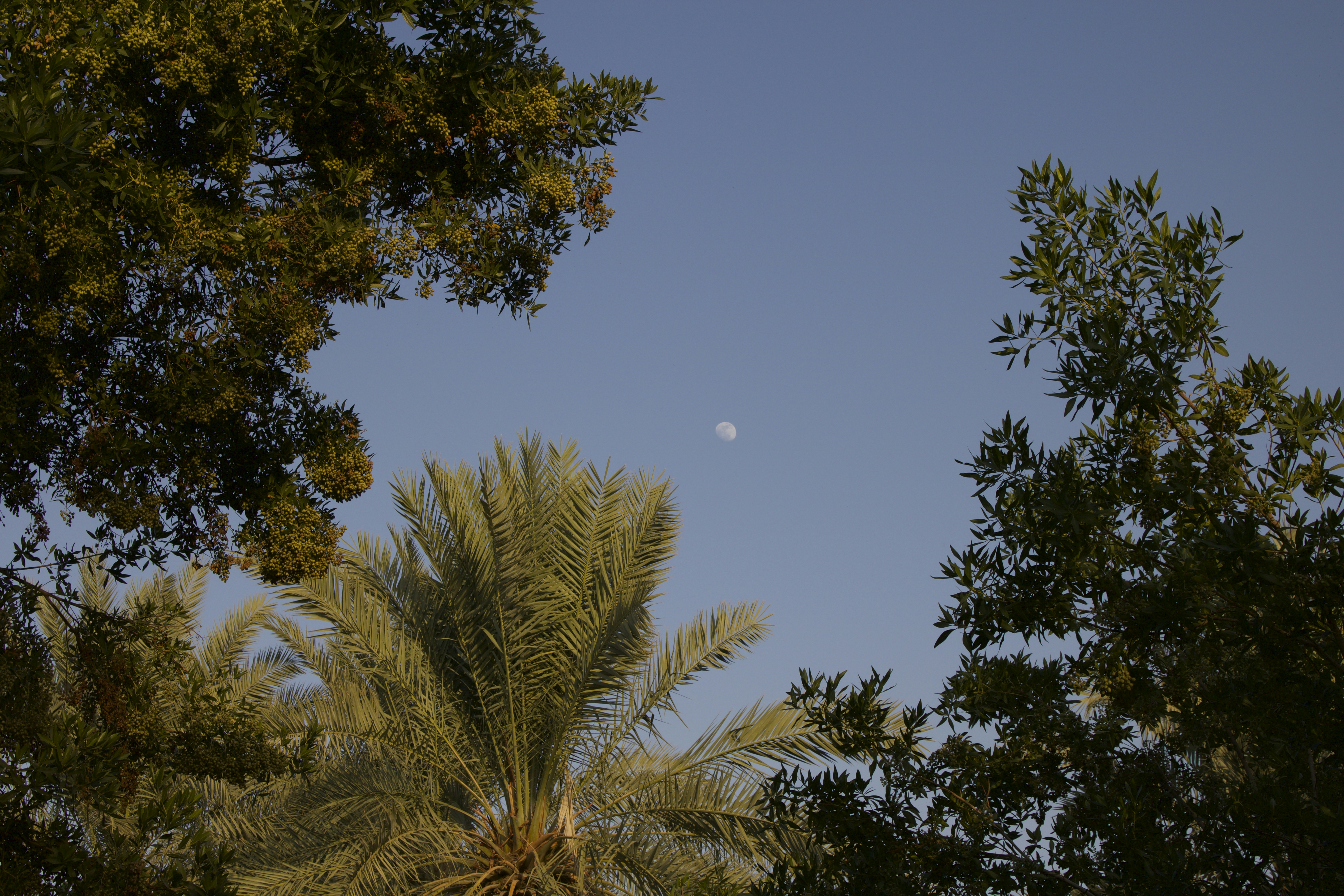 Photo by mishaalzahed