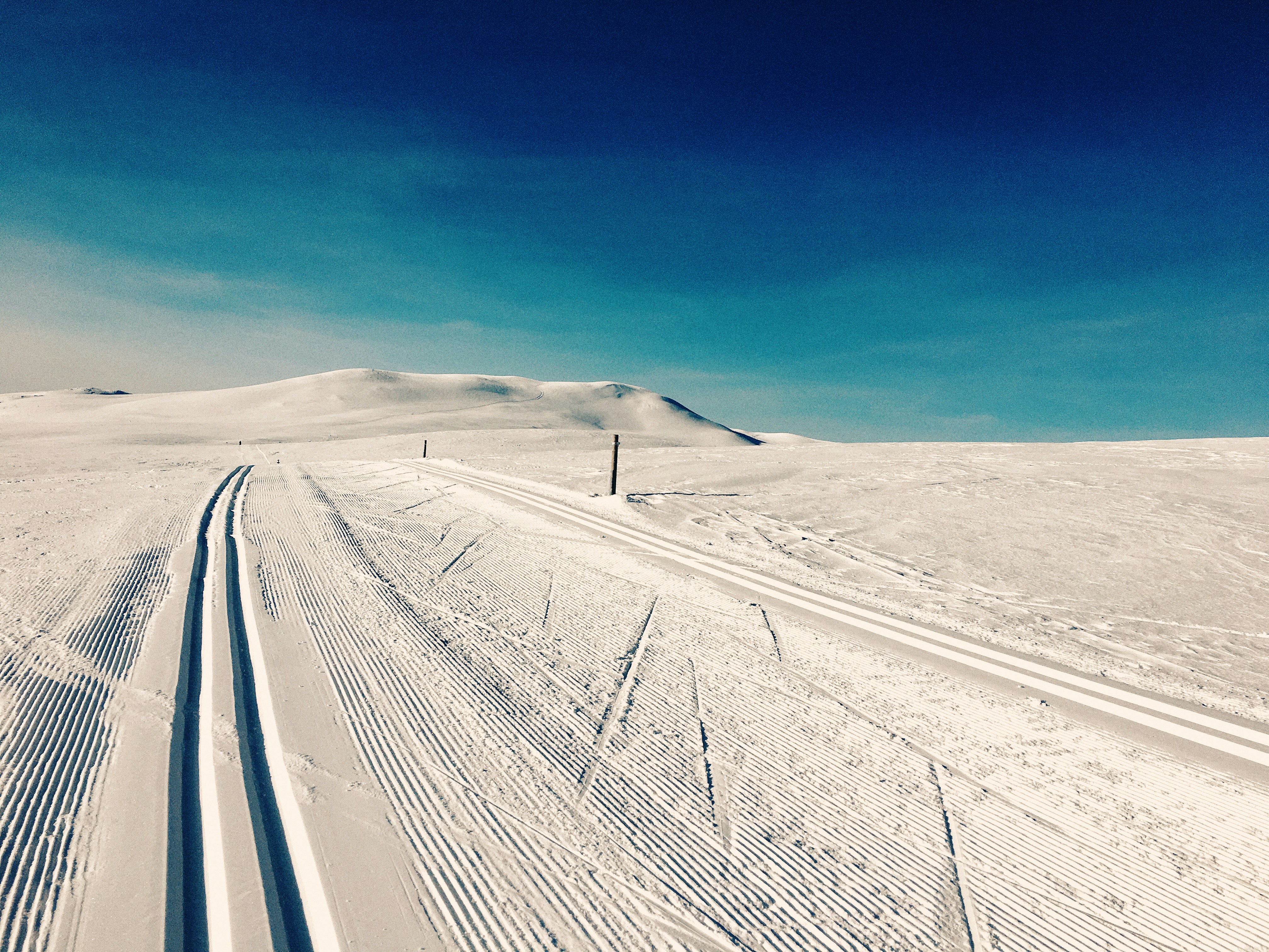 Photo by momentsbyebba