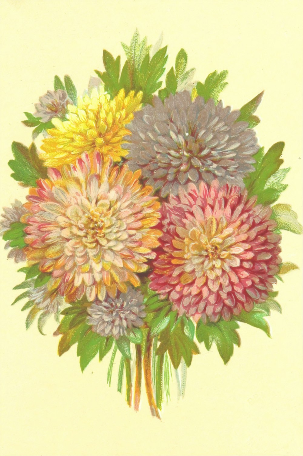 yellow and pink flower illustration