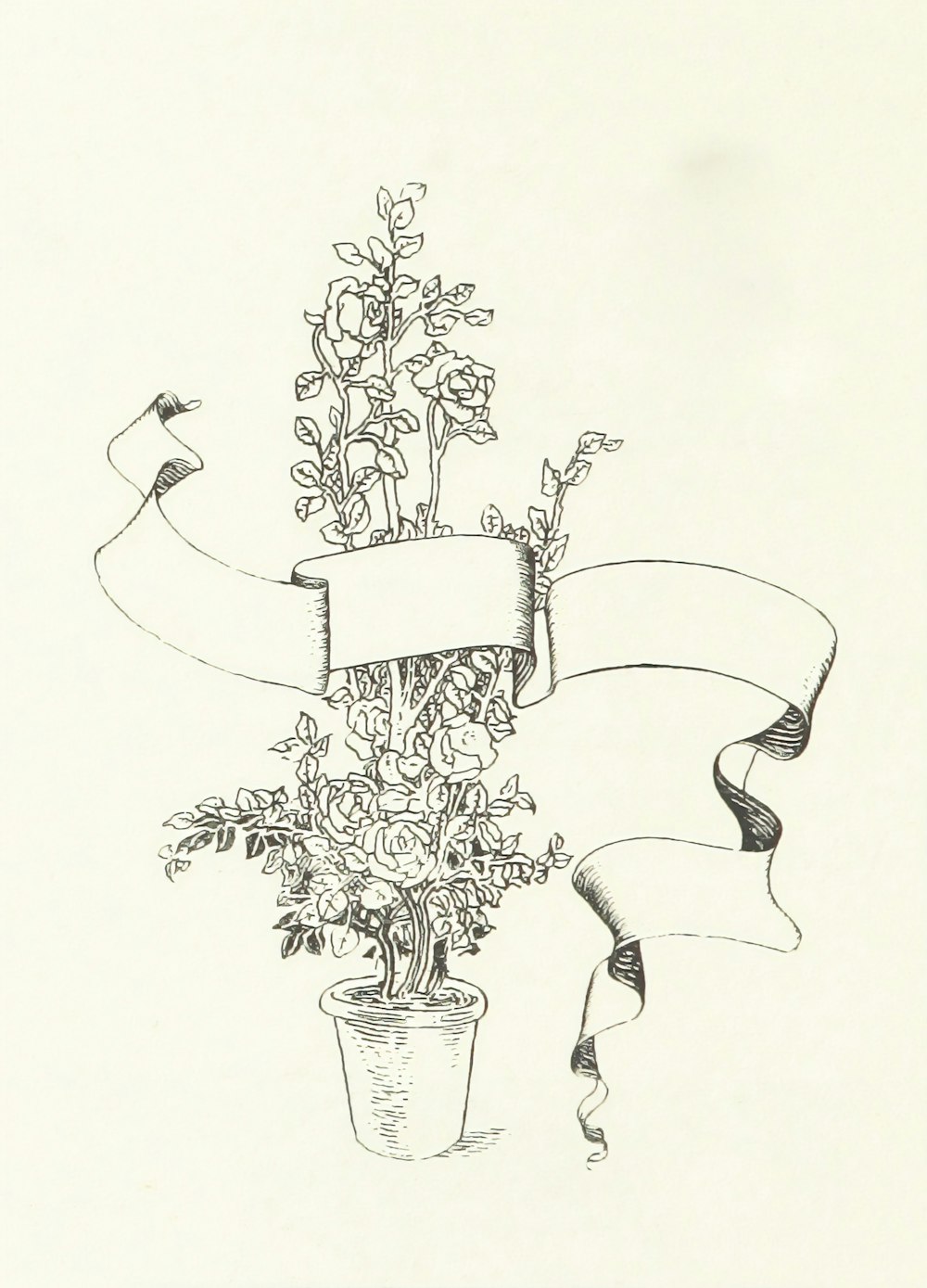 a drawing of a potted plant with a ribbon around it