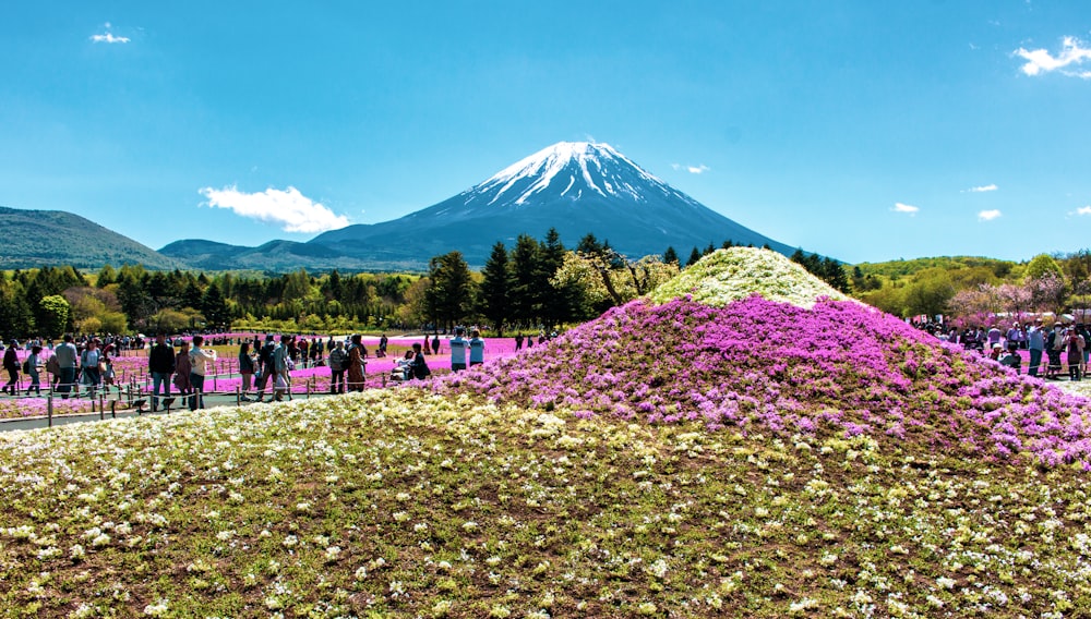 昼間、青空の下、山の近くの茶色い野原に立つ人々