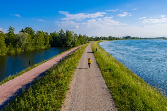 gray concrete road between green grass field near body of water under blue sky during daytime in Rust Germany