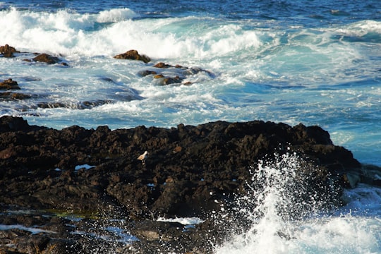 ocean waves crashing on rocky shore during daytime in São Miguel Portugal