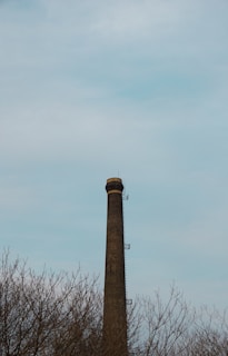 A tall, narrow brick chimney rises above leafless trees under a pale, overcast sky. The structure has metal ladders affixed to its side, extending upward toward the top.
