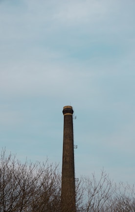 A tall, narrow brick chimney rises above leafless trees under a pale, overcast sky. The structure has metal ladders affixed to its side, extending upward toward the top.