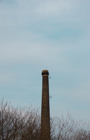 A tall, narrow brick chimney rises above leafless trees under a pale, overcast sky. The structure has metal ladders affixed to its side, extending upward toward the top.