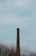 A tall, narrow brick chimney rises above leafless trees under a pale, overcast sky. The structure has metal ladders affixed to its side, extending upward toward the top.