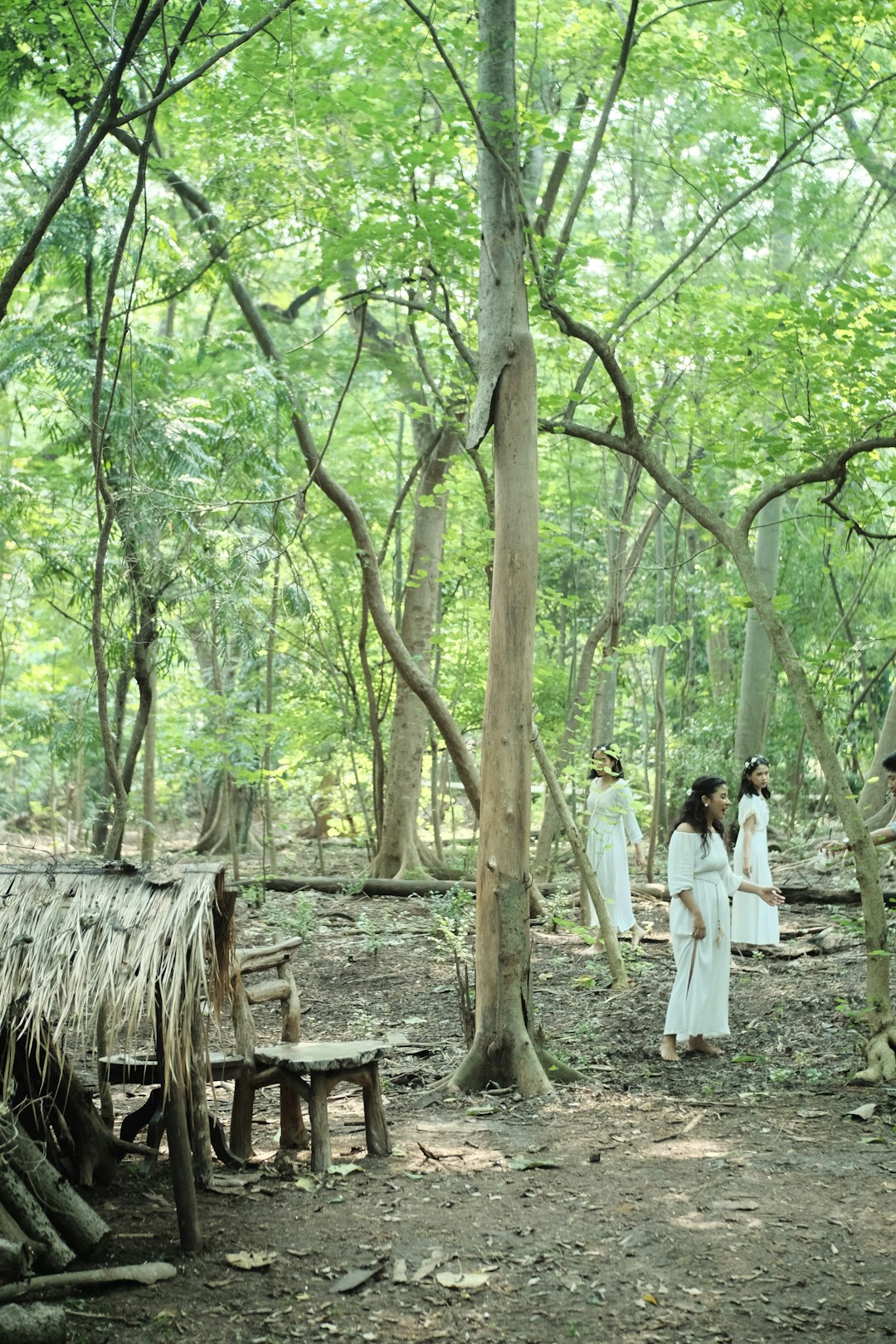 Forest photo spot Srengseng Kebun Raya Bogor