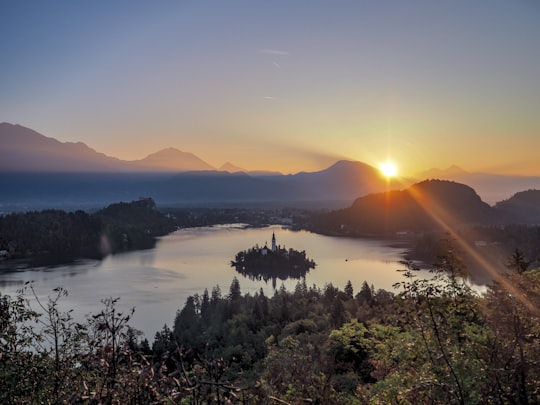 green trees near body of water during sunset in Ojstrica Slovenia