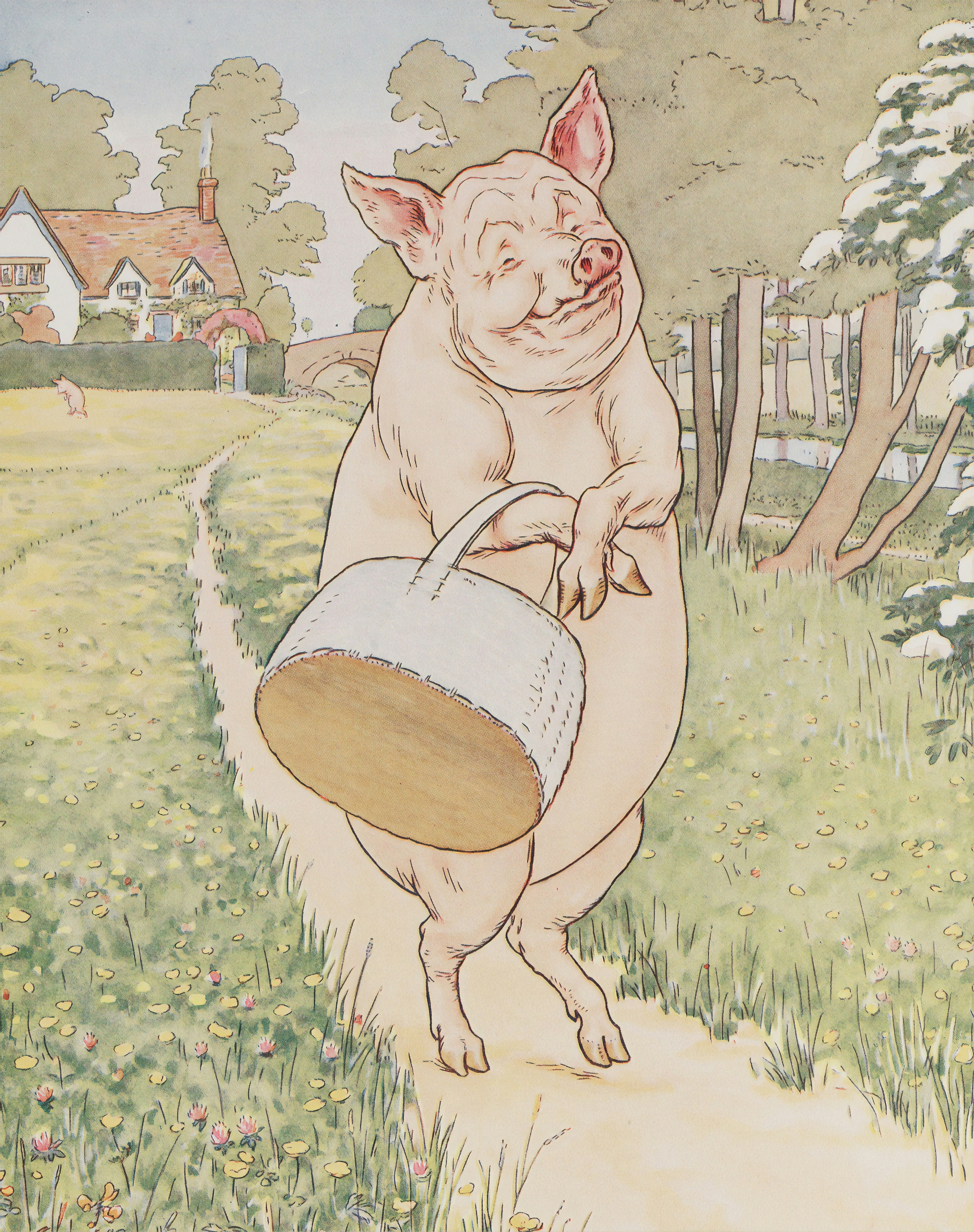 make a silk purse of a sow's ear