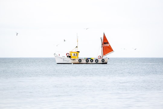 white and yellow sail boat on sea during daytime in Howth Ireland