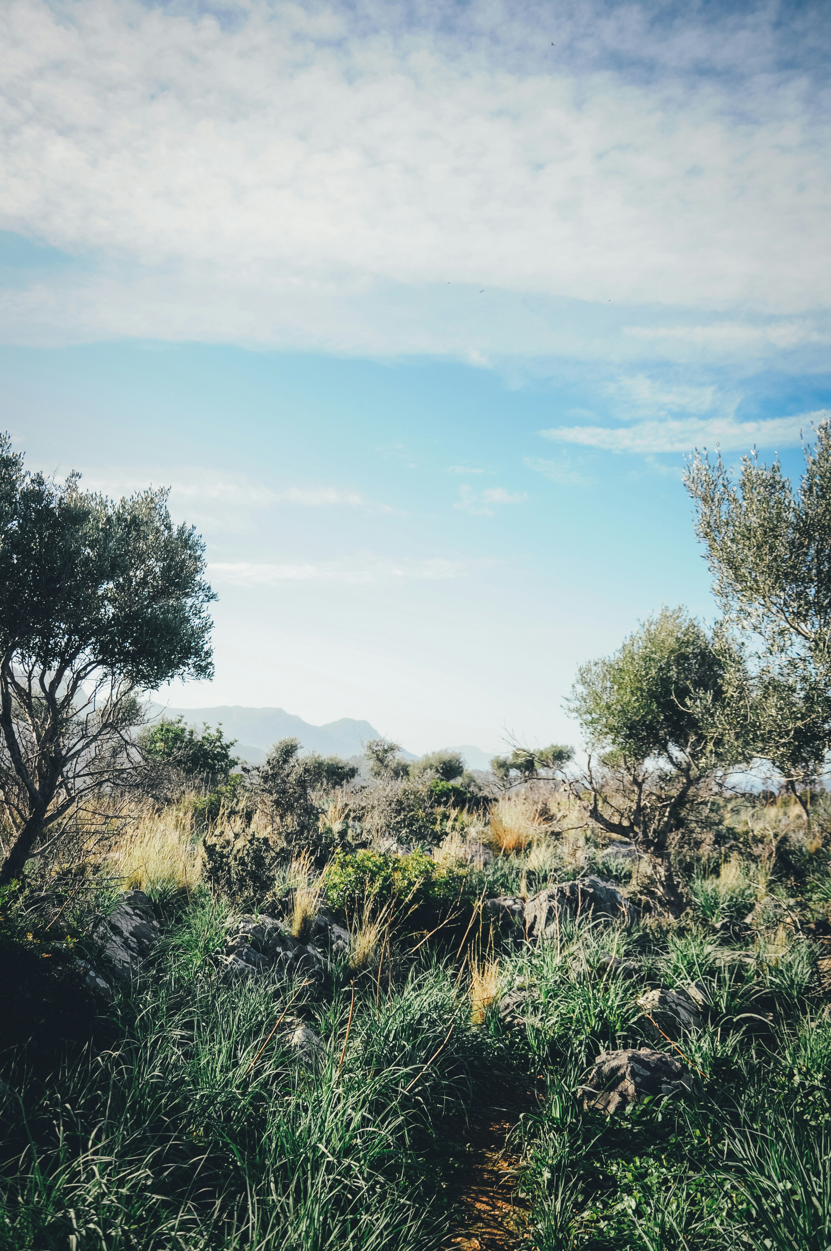 Photo by ialwayswantedagun