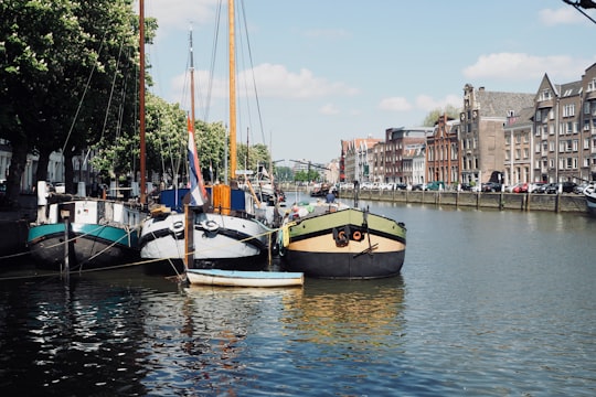 white and brown boat on water near buildings during daytime in Dordrecht Netherlands