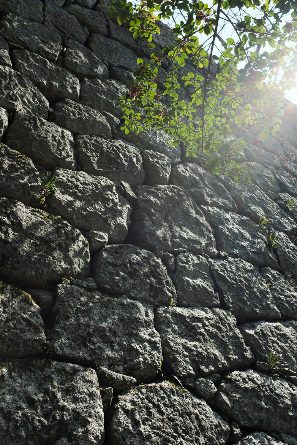 gray rocks covered with green moss