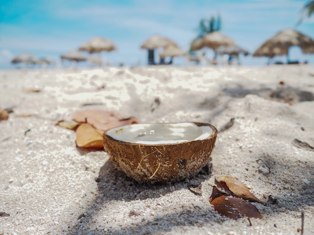 brown coconut shell on white sand during daytime