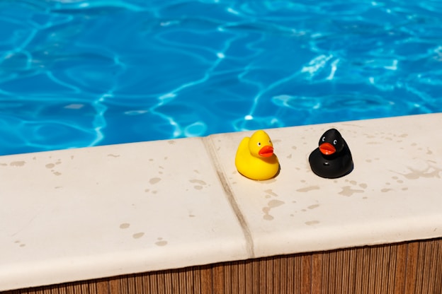 yellow and black duck on white concrete surface of an above ground pool