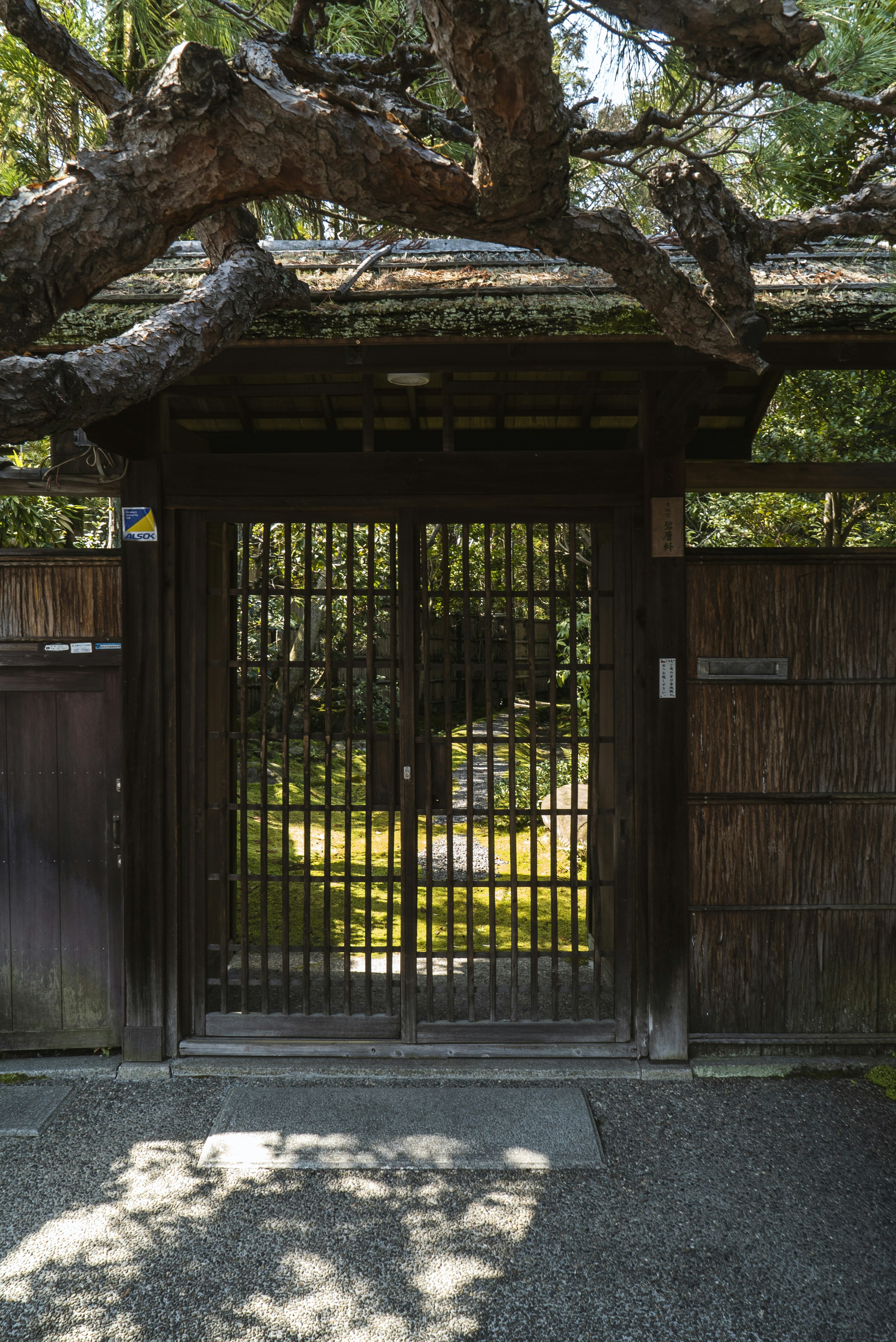 Photo by davidemrich