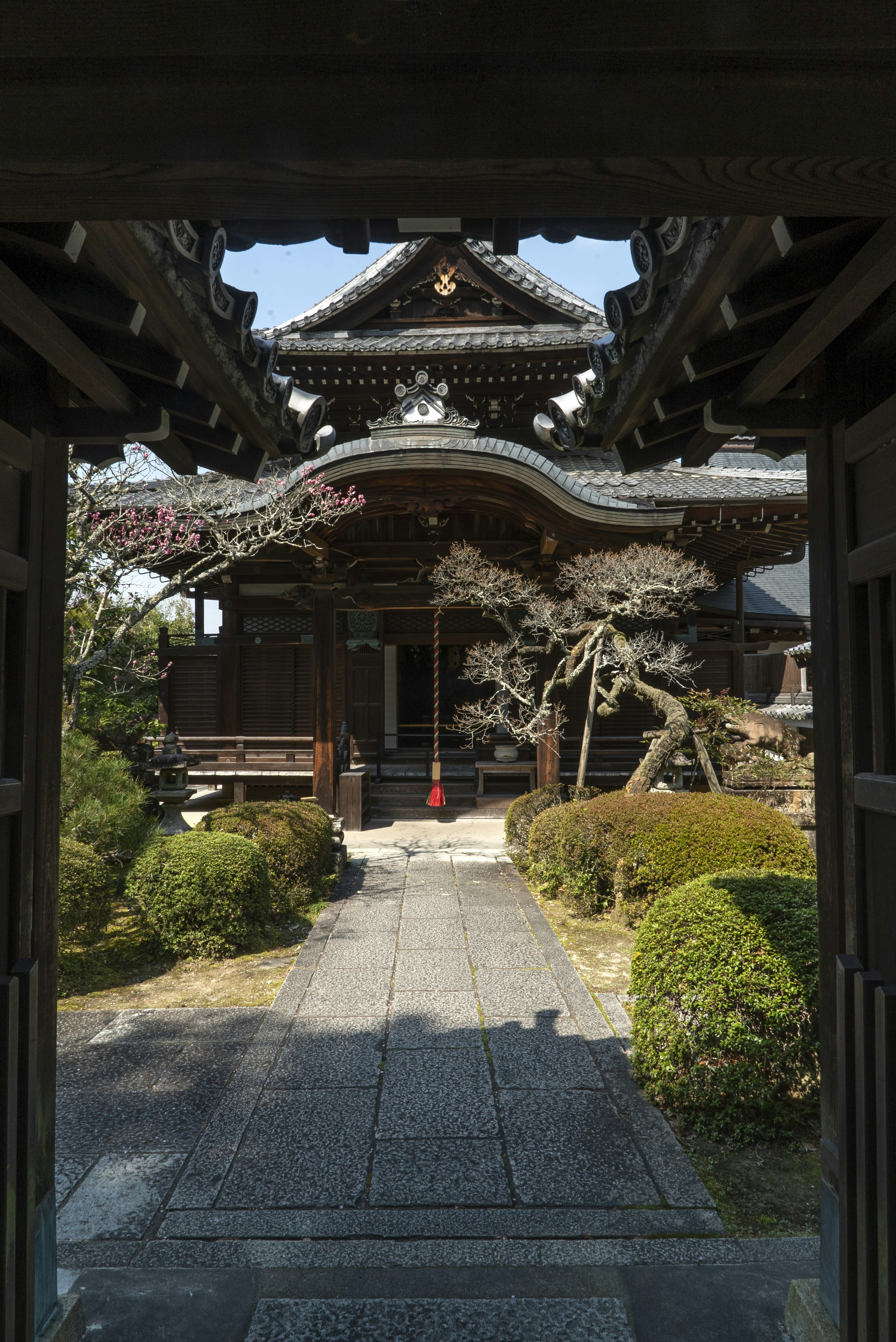 Photo by davidemrich