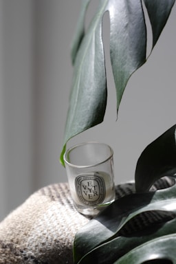 A small glass candle holder labeled 'VETIVER' rests on a soft, textured surface. A large green leaf partially shades the candle, casting a gentle shadow. The setting is minimalistic, evoking a sense of simplicity and tranquility.