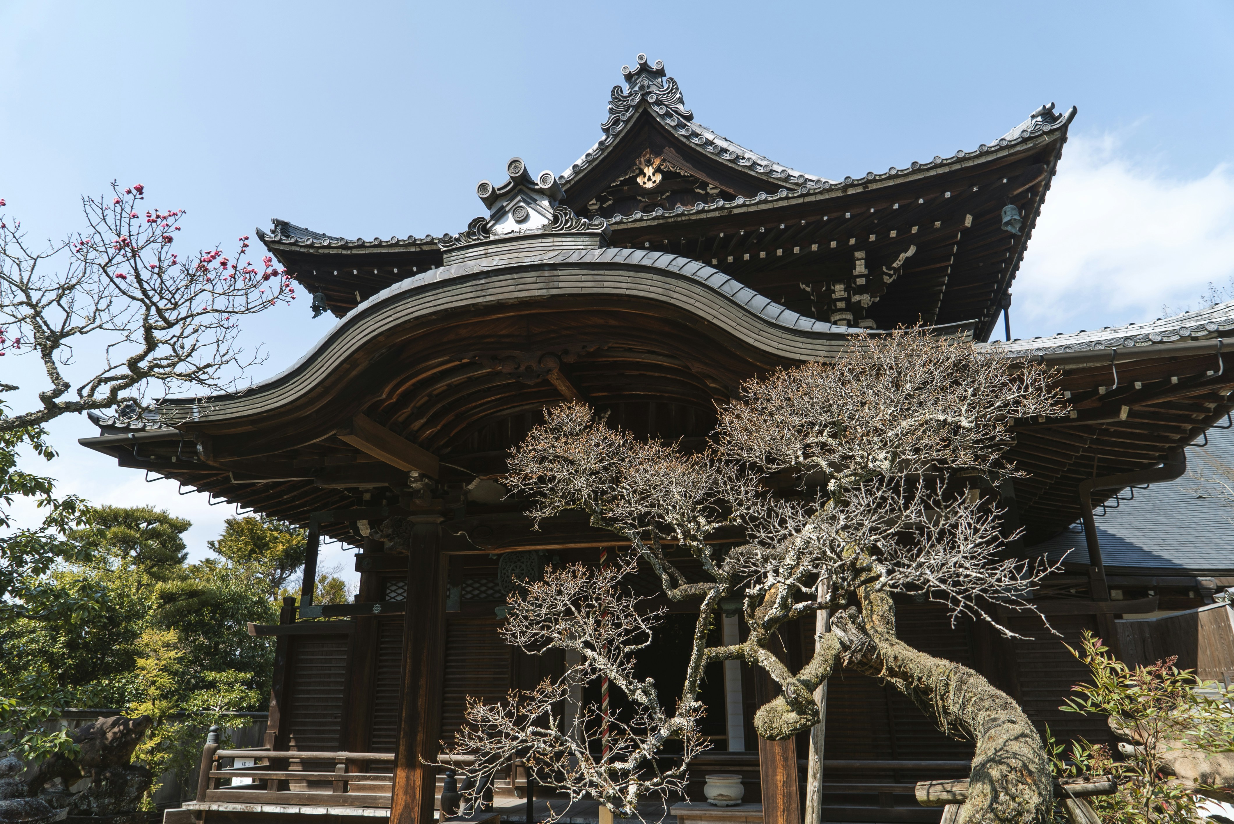 Photo by davidemrich