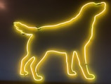 A close-up aerial shot of a person with their pet, framed by glowing blue neon outlines creating a futuristic vibe.