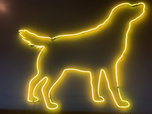 A digital art piece showing Super Hero Dog connected to the Solana blockchain network.