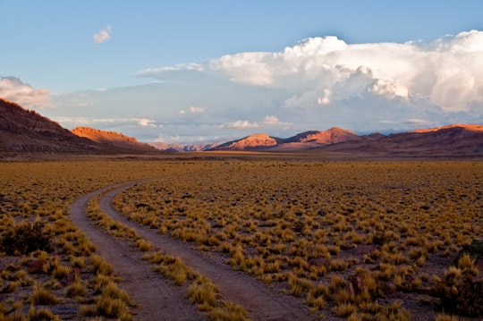 green grass field near brown mountain under blue sky during daytime in San Juan Argentina