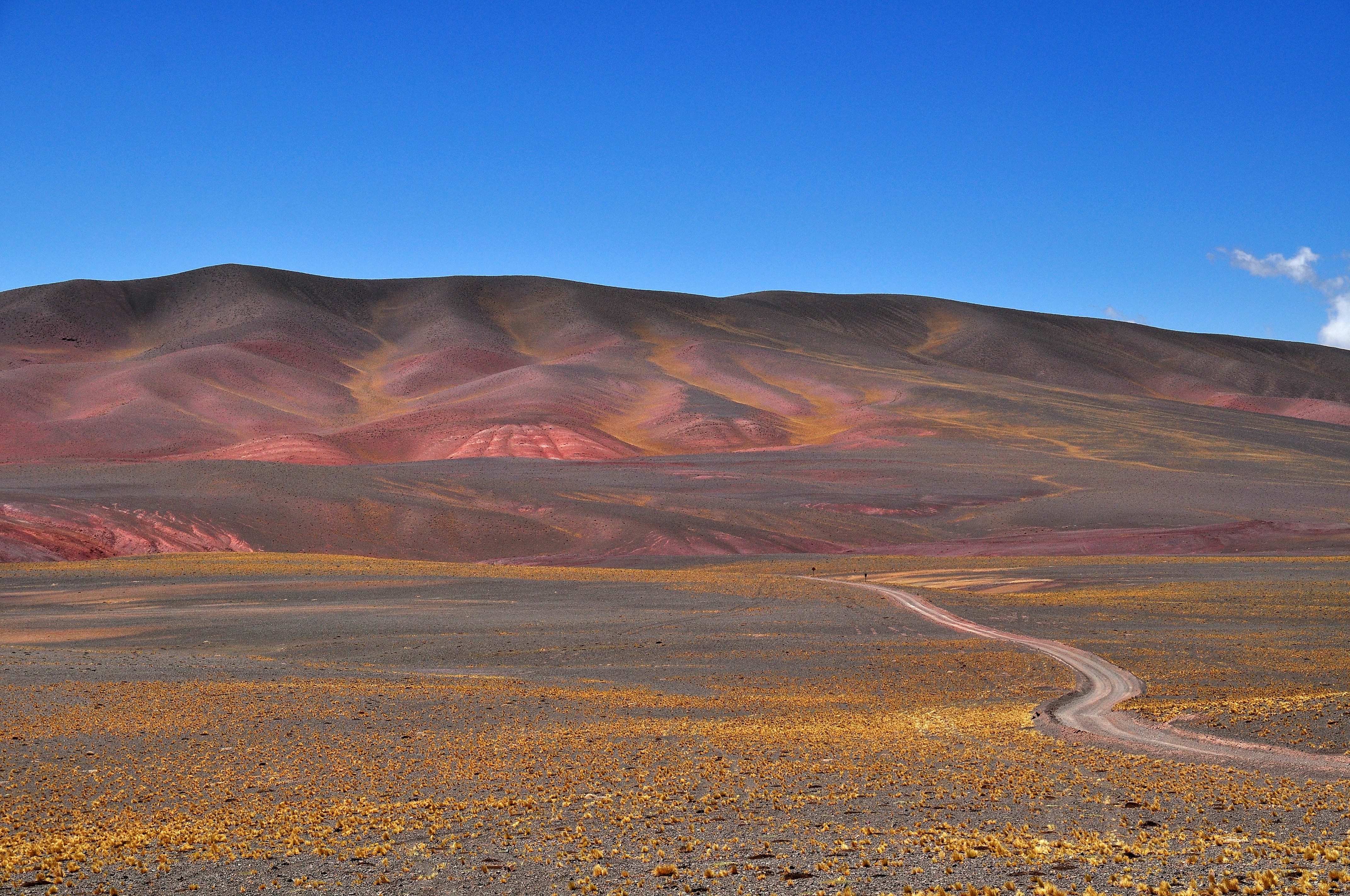 Photo by mariorodriguez2020