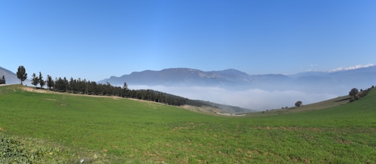 green grass field near mountain under blue sky during daytime in Mecher Iran