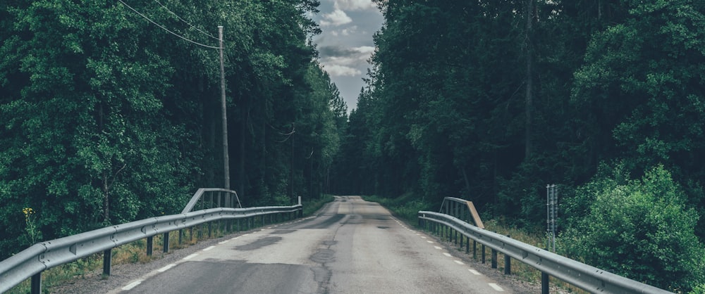 gray concrete road between green trees under white clouds during daytime