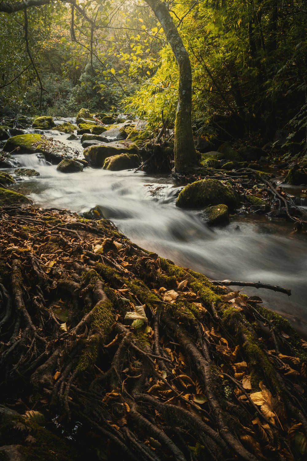 water falls in the middle of the woods