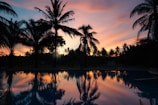 Image of a purple gradient sky framing a tall palm against a shimmering pool.