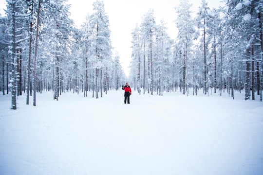 person in red jacket and black pants walking on snow covered ground during daytime in Rovaniemi Finland