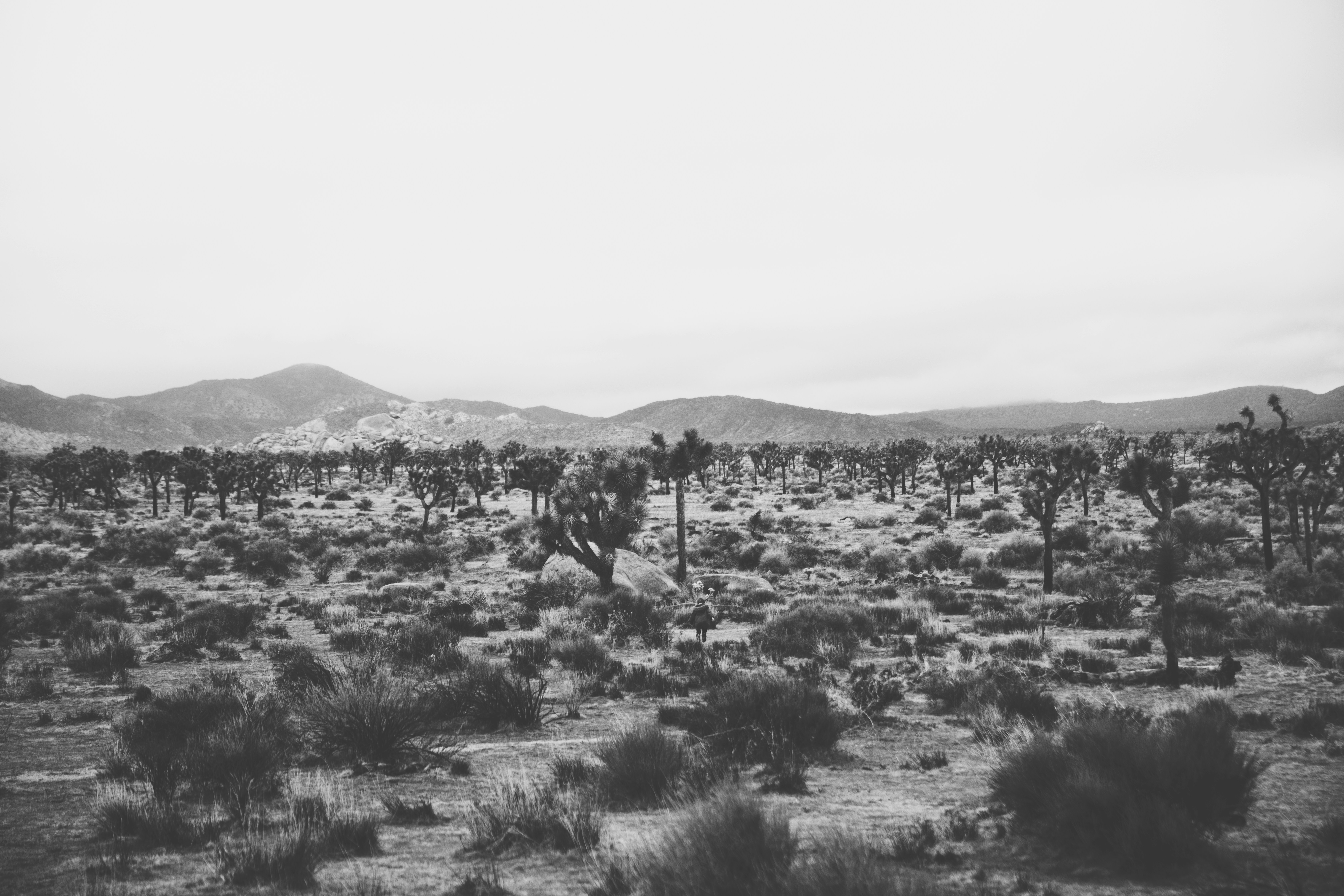 Photo by nate_dumlao