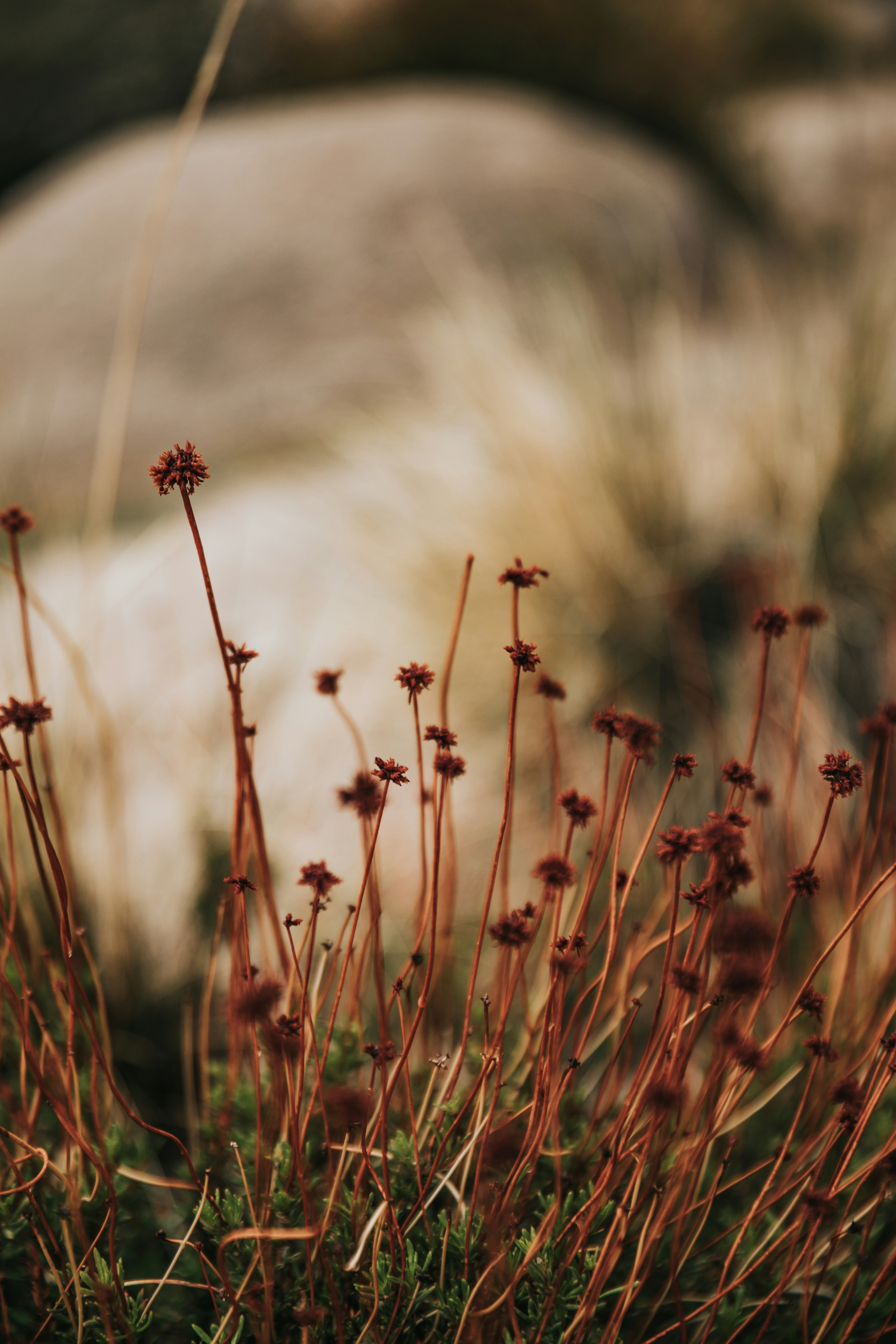 Photo by nate_dumlao